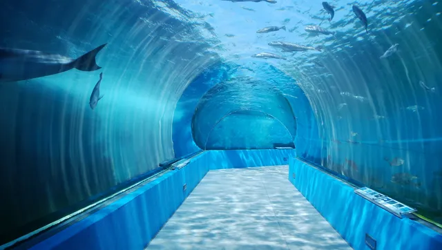 Notojima Seaside Park