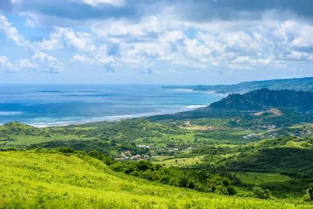 Cherry Tree Hill Wines