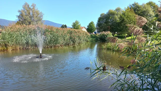 Kurpark Grafenwiesen
