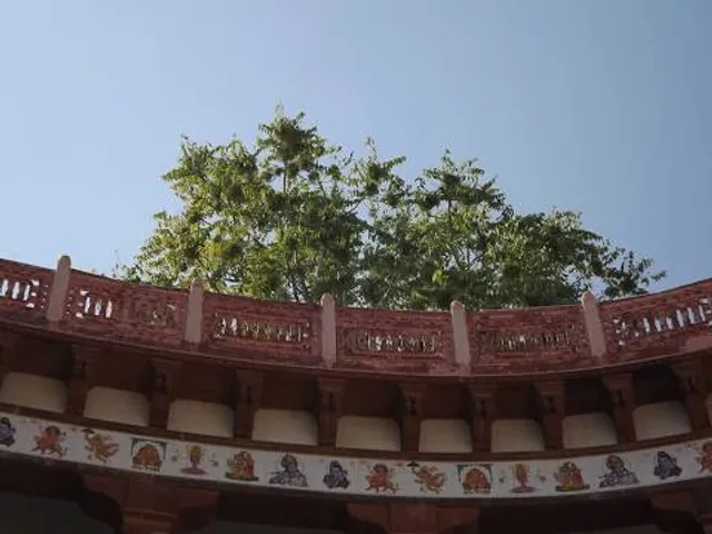 photo-1