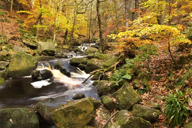 National Trust - Padley Gorge