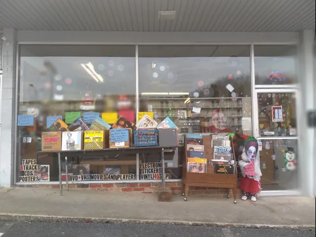 The Vinyl Asylum LLC