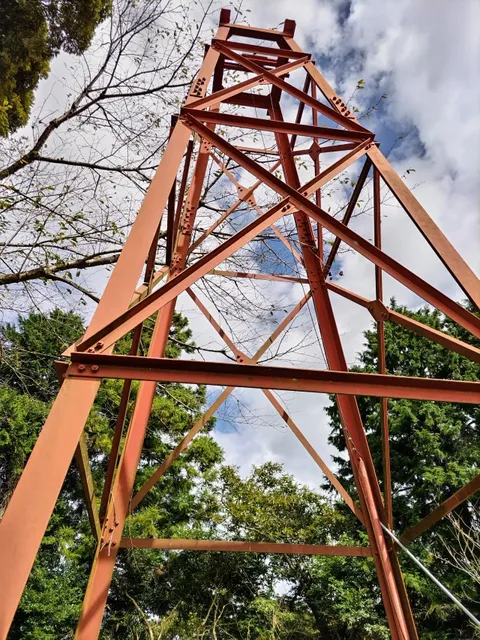 photo-3