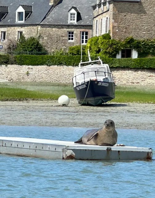 Les canoës du Guildo