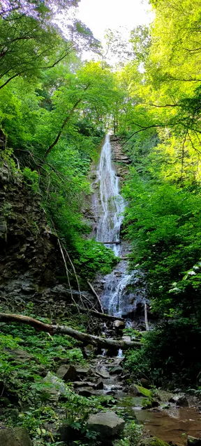 Пиринешки джeндем