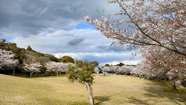 Isaji Ryokuchi Park