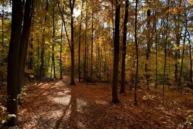Etobicoke Creek Trail