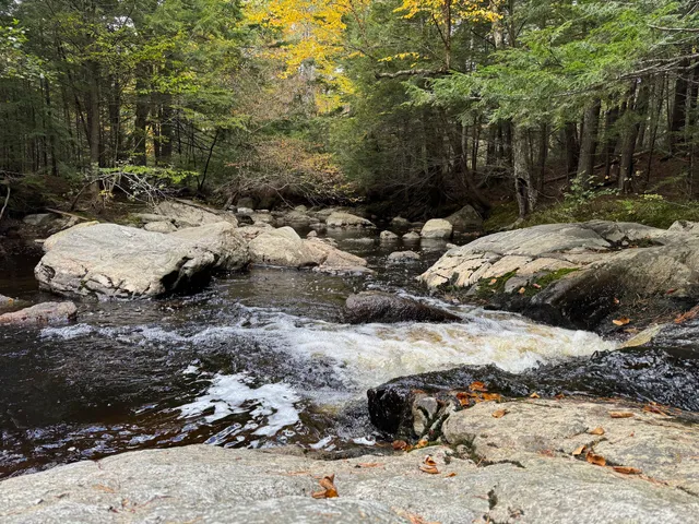 Trout Brook Preserve