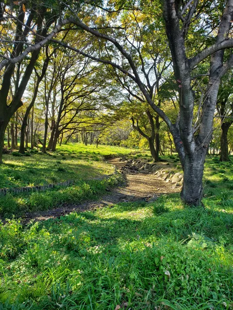 Tamamura Mizube-no-Mori Park