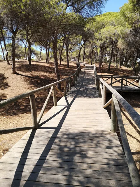 Pinares De Rota