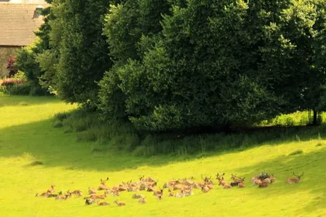 Newton House (National Trust), Dinefwr Park