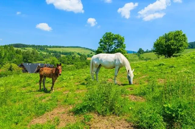 Erzgebirgisches Freilichtmuseum