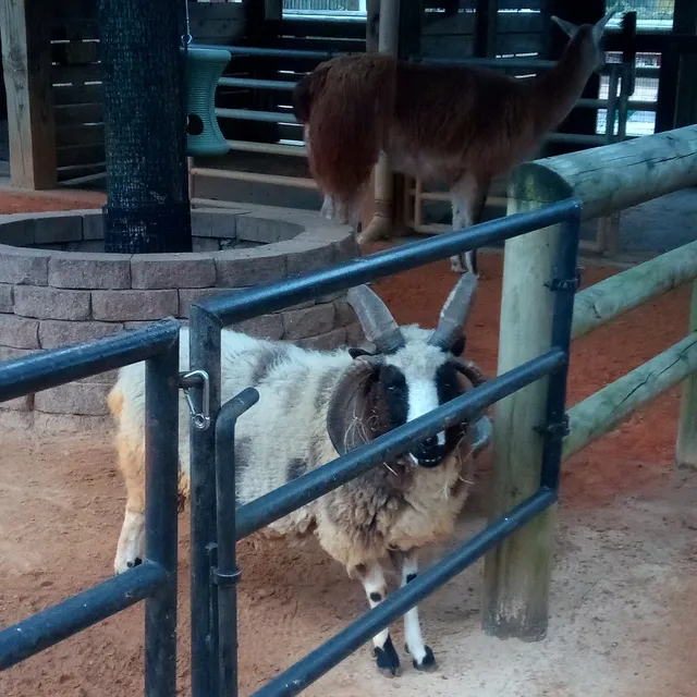 John P. McGovern Children's Zoo