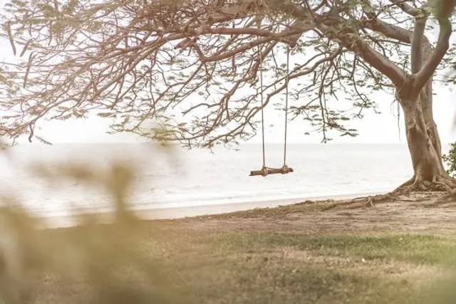 Schaukelbaum Bad Grönenbach