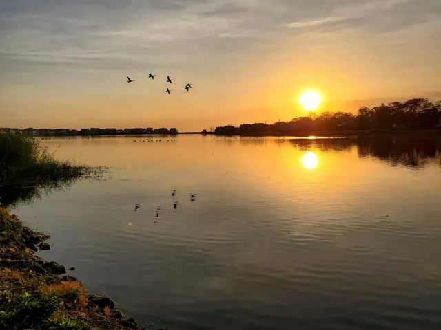 Marucci Memorial Park