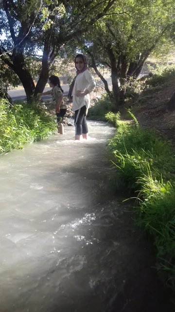 Meshginshahr Forest Park