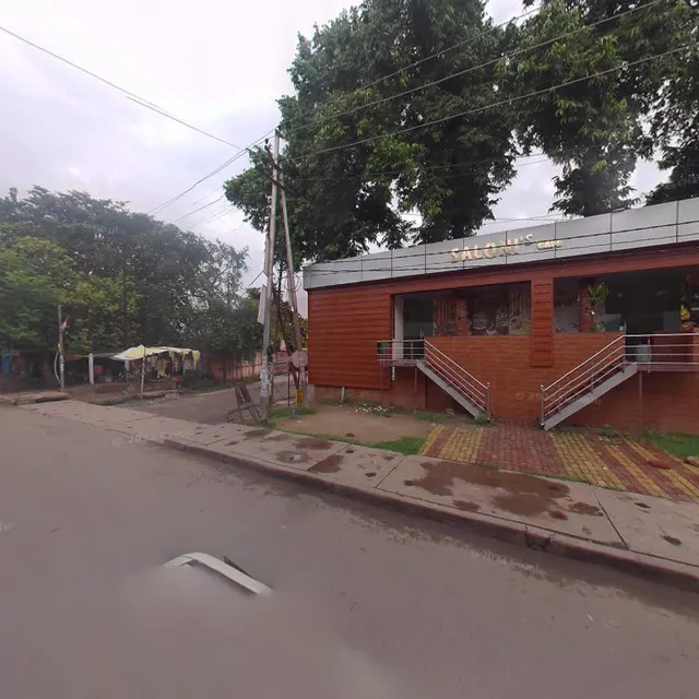 Vega Veggies An Curries