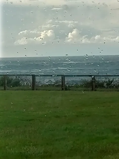 photo-3