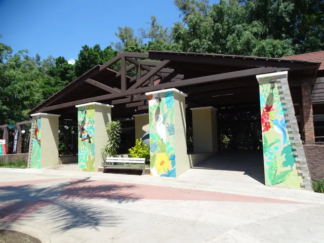 photo-3