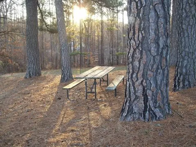 Stevens Point Sculpture Park