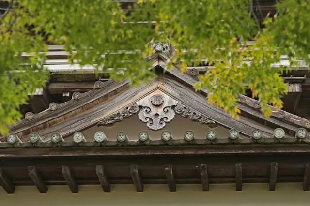 photo-1