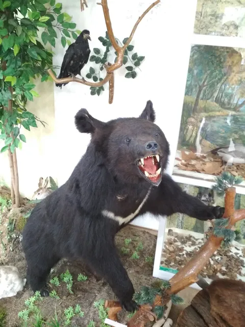 Muzey Ekologii I Okhrany Prirody