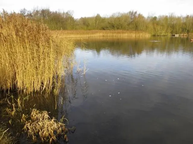 Priorslee Lake