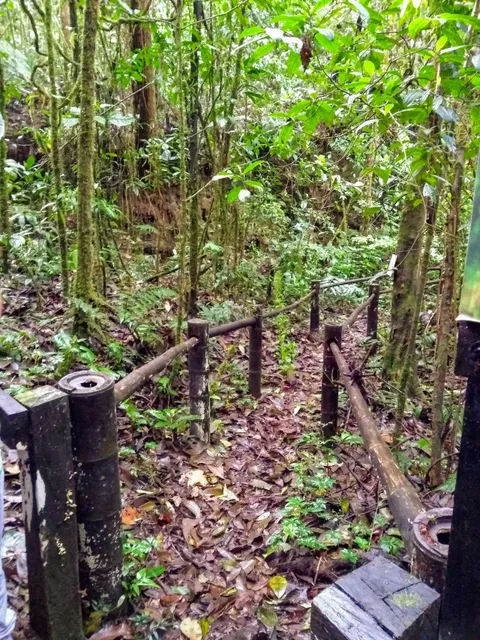 Reserva Bremen-La Popa