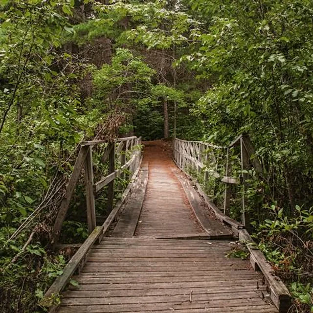 Bonnechere Provincial Park