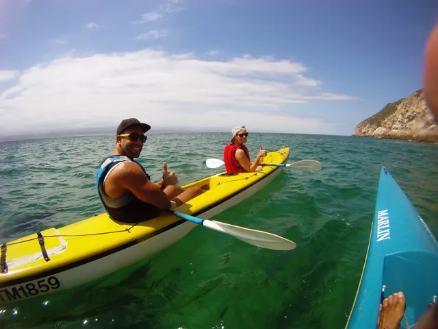 Dolphin Adventures Sea Kayaking