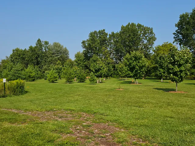 Native Botanical Garden - Tomlinson Arboretum