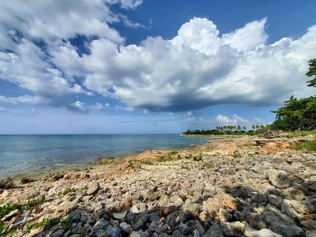 photo-1