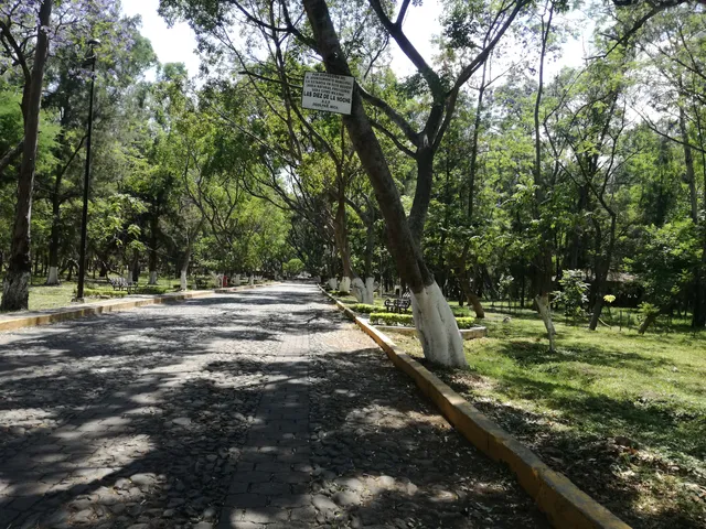 BOSQUE CUAUHTÉMOC