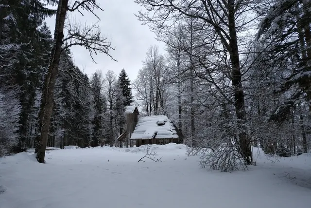 photo-1