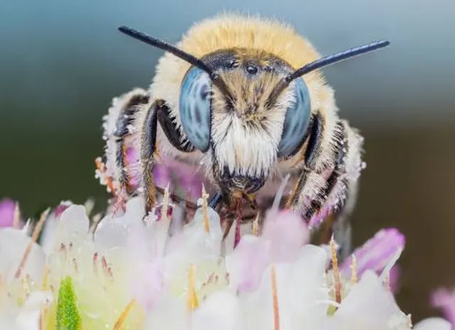 Centro de Naturaleza de La Juliana