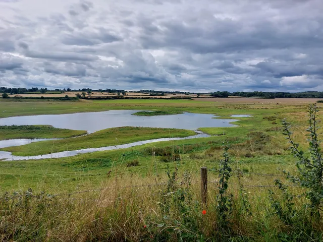 Nosterfield Nature Reserve