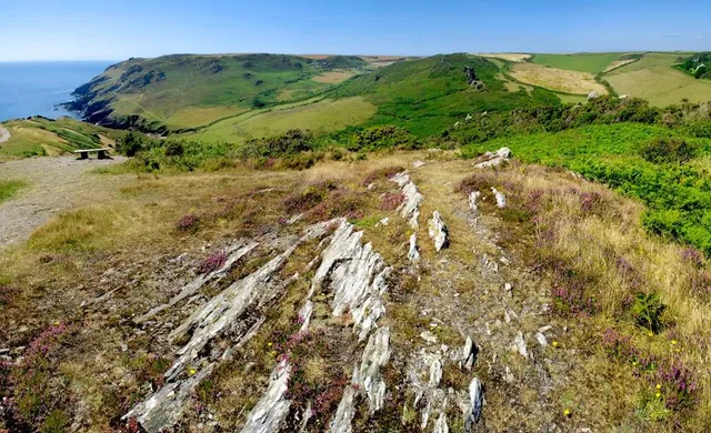 National Trust - Bolberry Down
