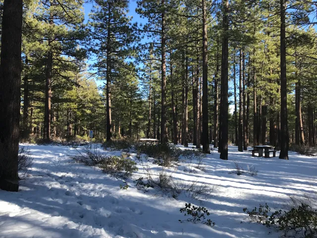 Galena Creek Recreation Area