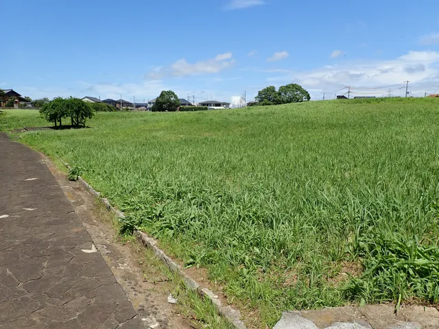 Yamazaki Kaizuka (shell mound)