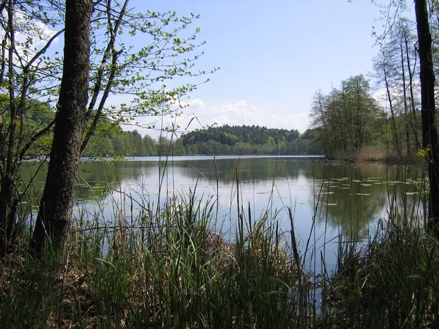 Schleinsee