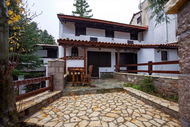 Dandy on the hill Agoriani