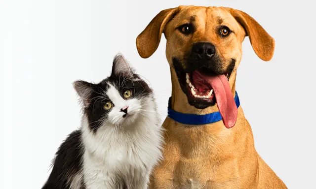 Roice-Hurst Humane Society