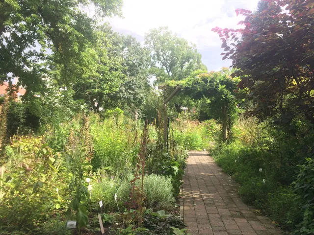 Costerustuin Hilversum