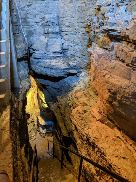 photo-1