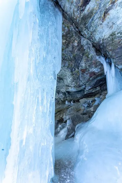 Leominster State Forest