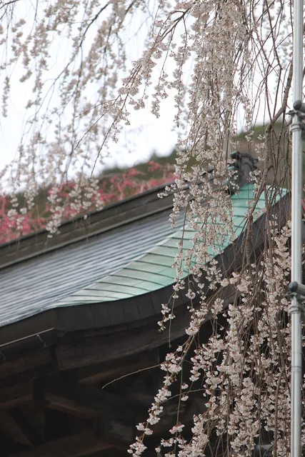 photo-2