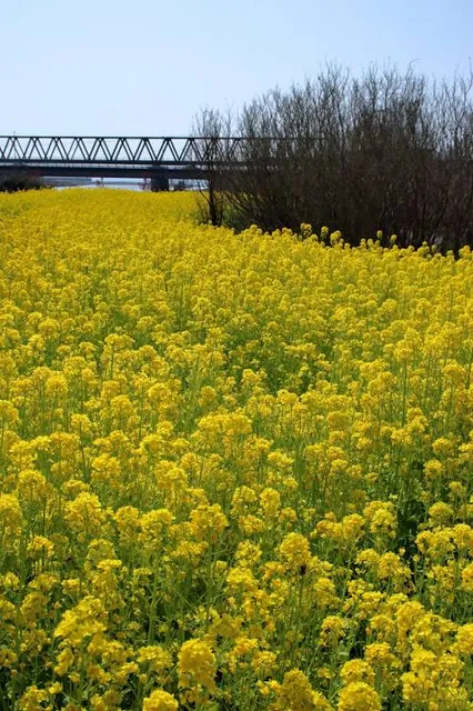 Nijusanshi Park (23 Samurai Park)