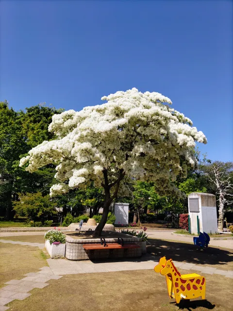 Koizumi Park