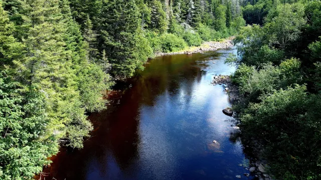 Vallée des coquillages
