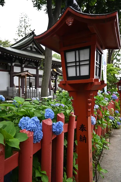 Kawagoe Hachimangu Shrine